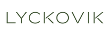 Translation missing: sv.lyckovik accessibility.home